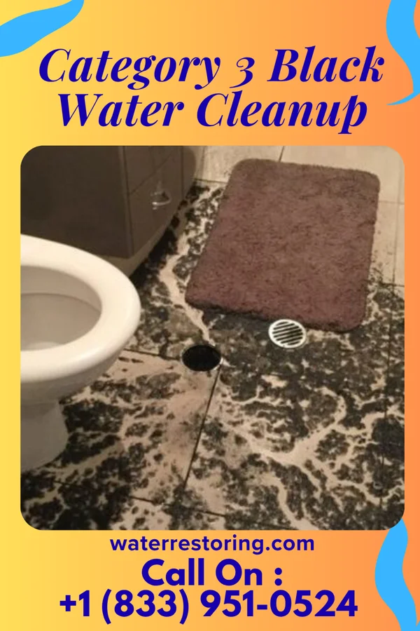 Category 3 Black Water Cleanup in Elkhart, IA