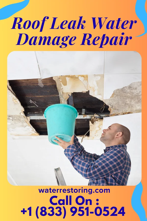 Roof Leak Water Damage Repair in Elkhart, IA